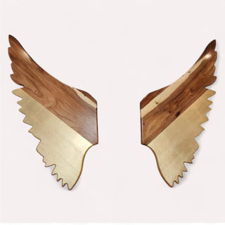 Estructura Alas Parota