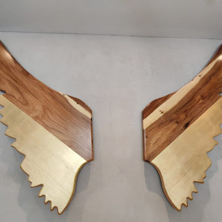 Estructura Alas Parota