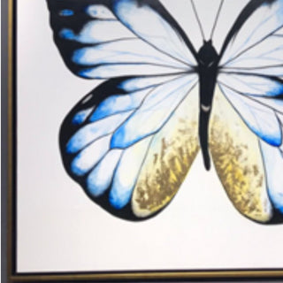Cuadro Blue Butterfly