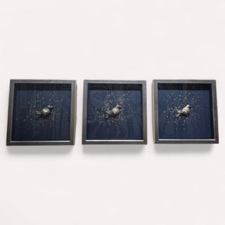 Cuadro Sonata de Aves C