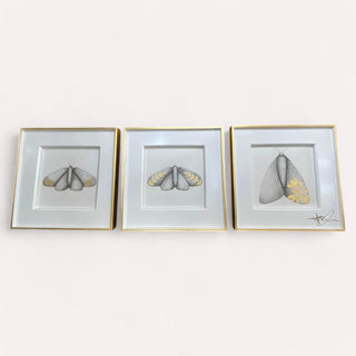 Cuadro Mariposa Talavera Oro Set de 3