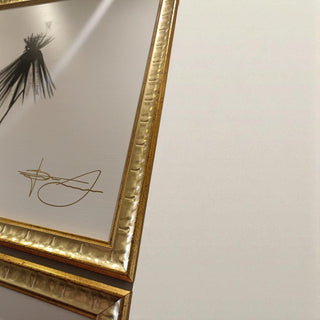 Cuadro Black Dance Set de 3