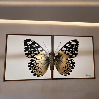Cuadro Mariposa Dorada