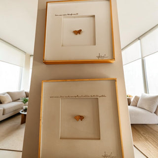 Cuadro Poesía de Mariposas Set de 3