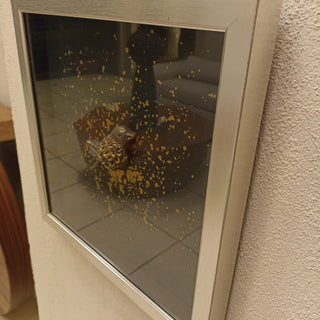 Cuadro Sonata de Aves C