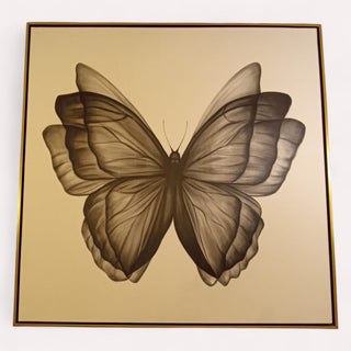 Cuadro Mariposa Carboncillo