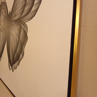 Cuadro Mariposa Carboncillo