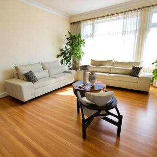 Love Ankara 2.70M